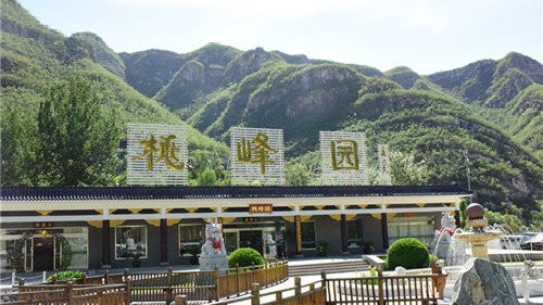 【潇湘文学社】潇湘问梅诗社《随吟》(图15)