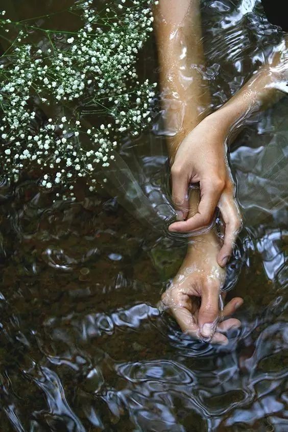 夏长青诗歌《入秋一场雨》欣赏，金牌主播一梅天一诵读 ，编辑:宋梅【中国长江文学社】有声文学平台第2437期（图6）