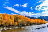 可可托海的牧羊人背后的故事：主播/冯淑文(青春)（图2）