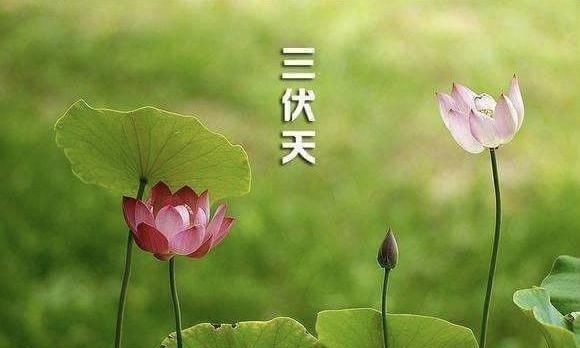 【潇湘文学社】潇湘紫竹诗社《随吟辑》(图6)