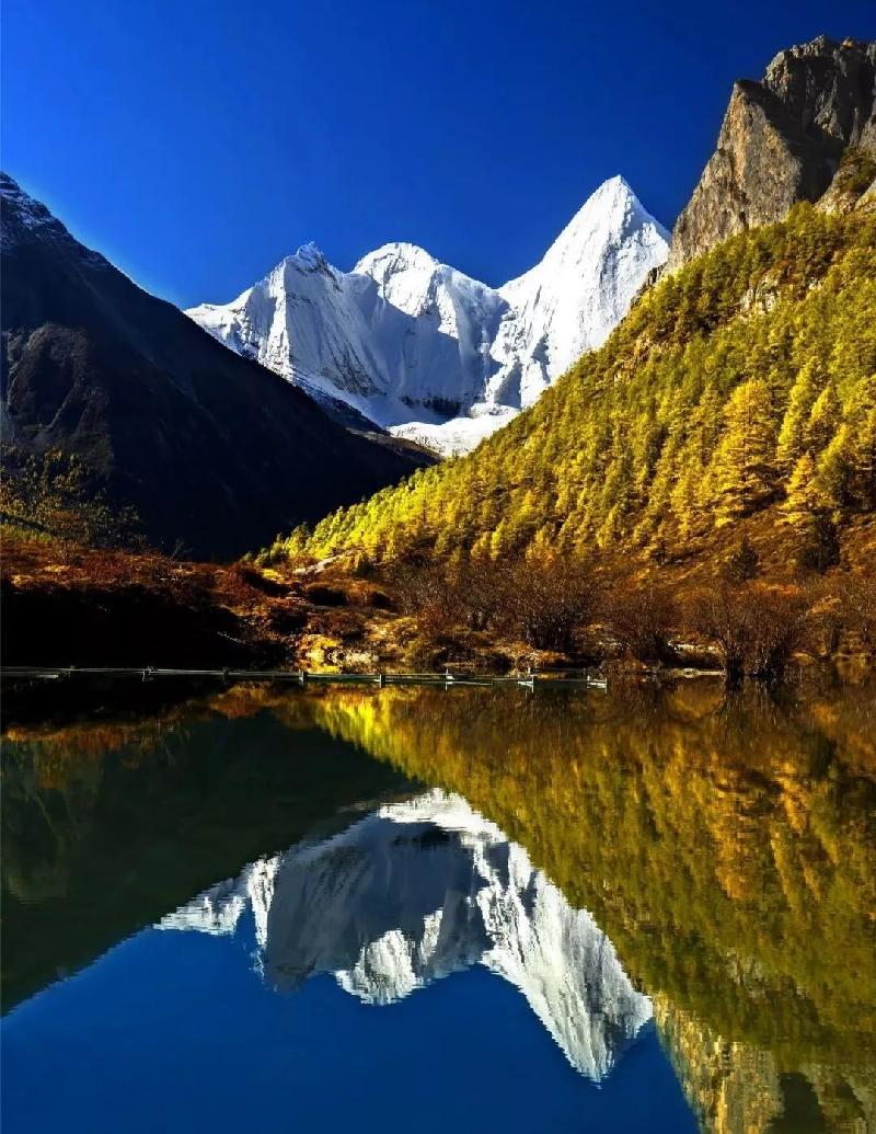 张维清诗歌《秋》欣赏,金牌实者诵读 ,编辑:宋梅【中国长江文学社】有声文学平台第2464期(图7)