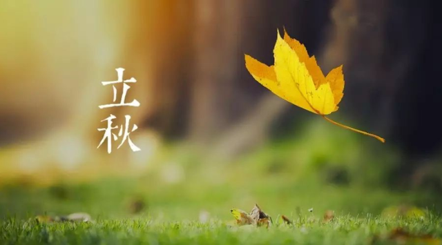 【潇湘文学社】潇湘问梅诗社《立秋》(图11)