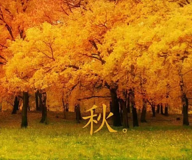 【潇湘文学社】潇湘问梅诗社《立秋》(图13)
