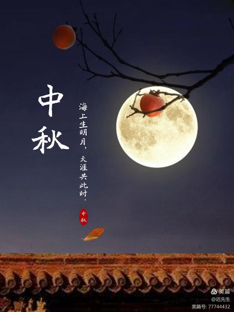 姚铁力手书字体魏碑被收录于方正字库(图11)