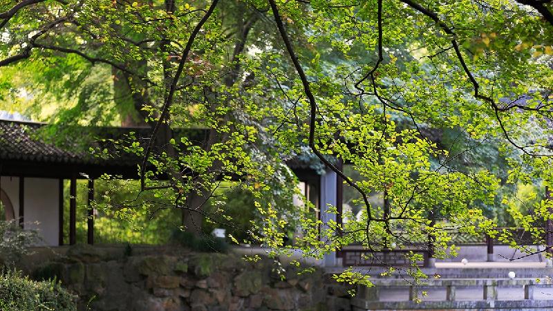 《祥云总社诗刊》同题及来稿精选（总第288期）（图6）