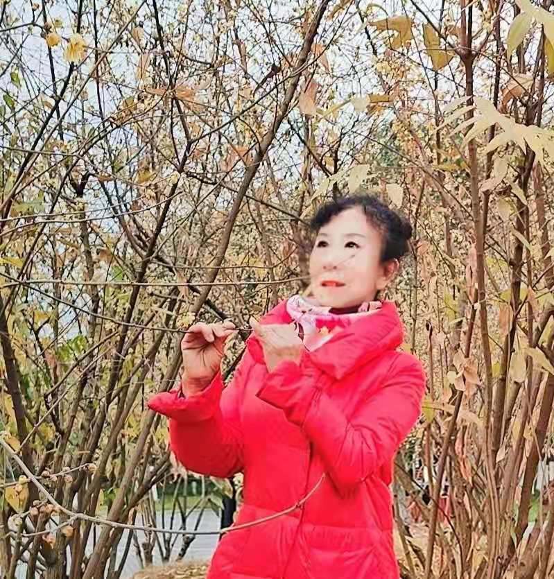 《磨难中催生出的坚强美丽》（外二首）文/青梅 【世界诗人名人展】（4420）（图3）