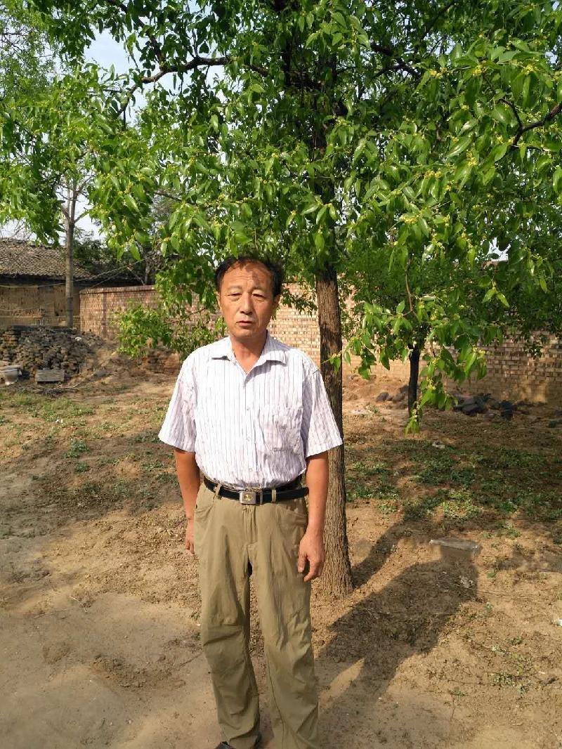 中华诗艺社佳作欣赏(图5)