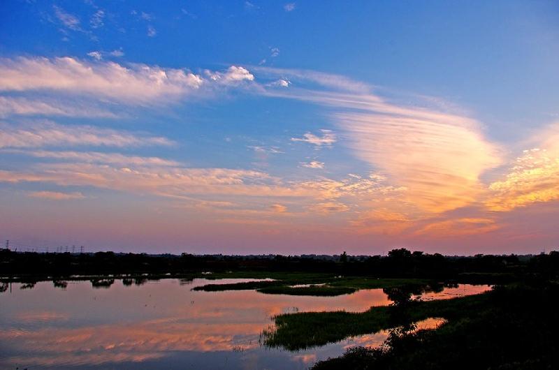 梦里梦外(组诗)文/青草(美国)【冰心文化传媒】(图6)