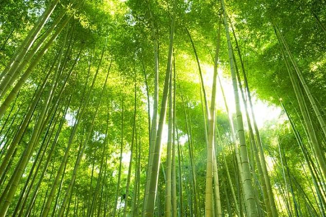 风雅颂第八期诗班《楹联第636期》（图2）