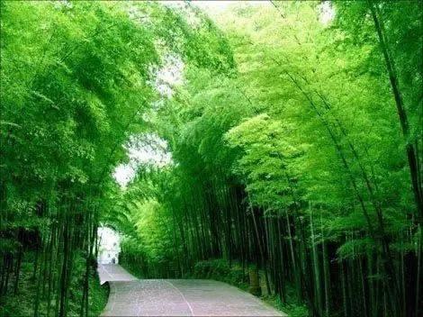 风雅颂第八期诗班《楹联第636期》（图3）