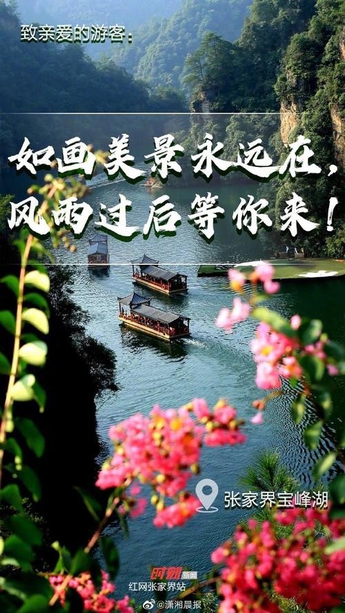 张家界市诗词楹联协会抗疫诗词选 陈德山老师推介(图6)