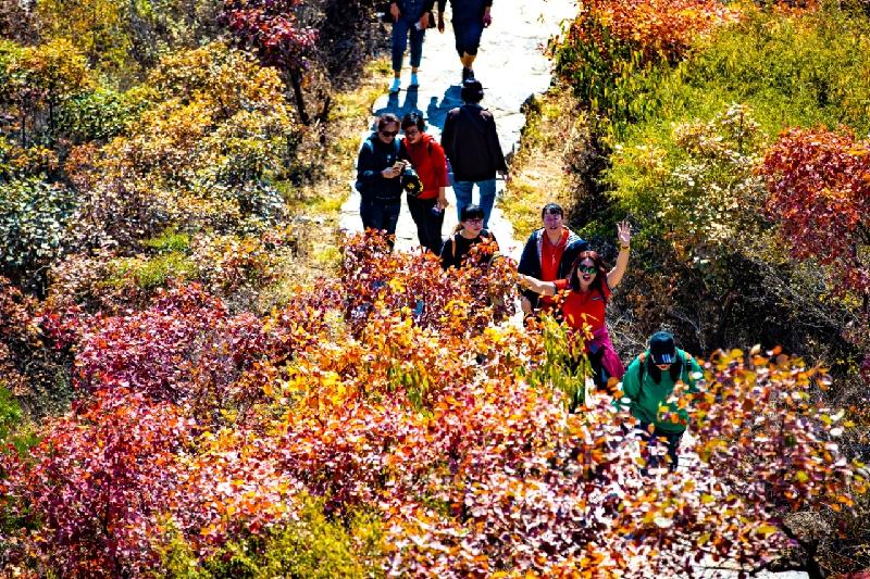 每日一景·井陉美 | 仙台山（图8）