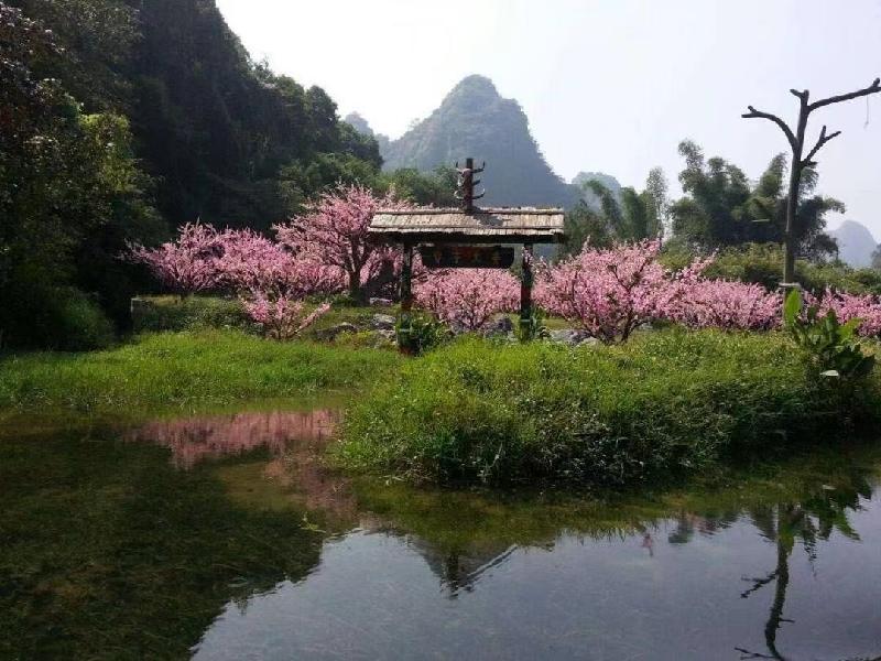 《过往的风花雪月》作者|陈鸣鸣〔南京〕【冰心文化传媒】(图3)