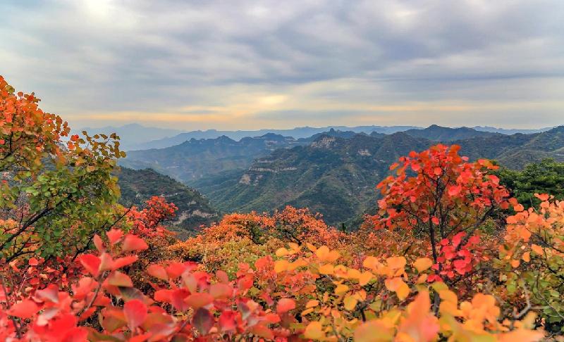井陉美Ⅱ仙台山|文/赵京江(图9)