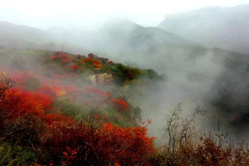 井陉美Ⅱ仙台山|文/赵京江(图10)