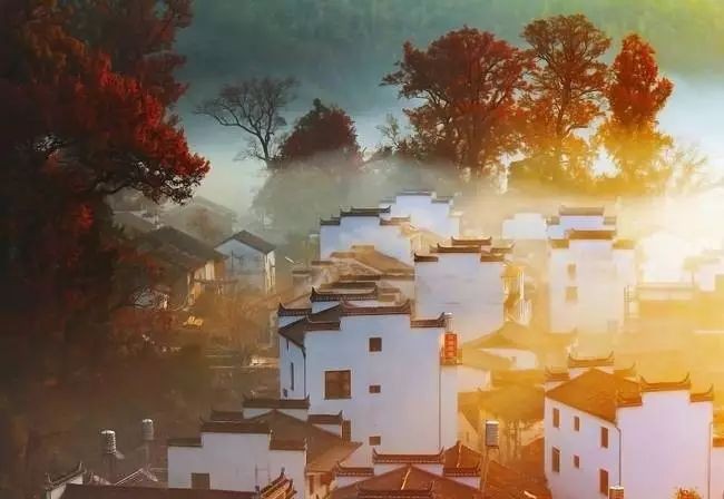 张刚松诗歌《秋天的梦 》，金牌主播蓝蓝诵读 ，编辑:宋梅【中国长江文学社】有声文学平台第2471期（图6）