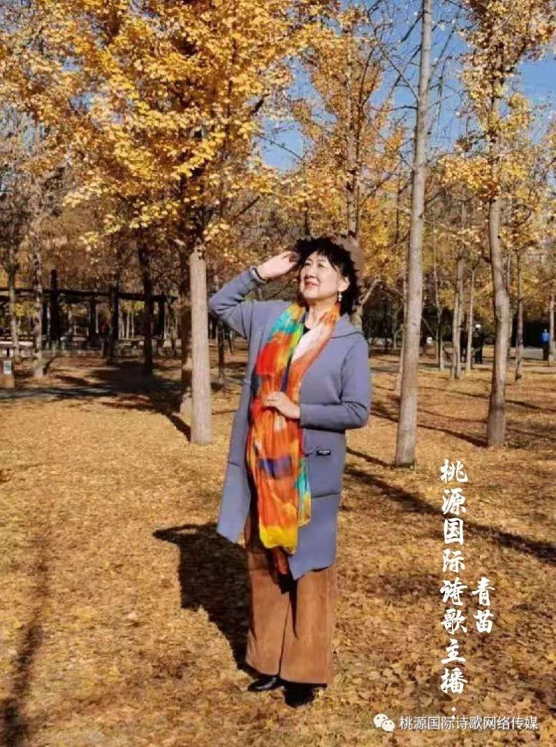 【桃源馨声】岁月|作者:红韭|主播:青苗【总990】(图12)