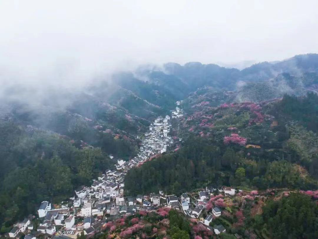 寰俊鍥剧墖_2021070707222517.jpg