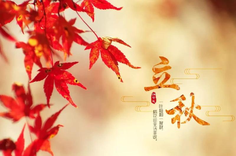 荐赏 美人迟暮诗歌专辑（图3）