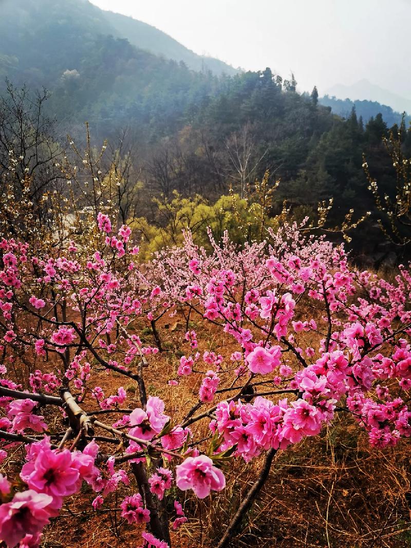 每日一景·井陉美 | 山水测鱼（图23）