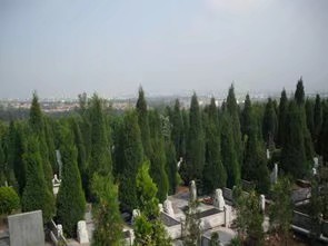 《谁思故人心不痛》作者/清溪 主播/明宏 编辑/胡琴(图3)