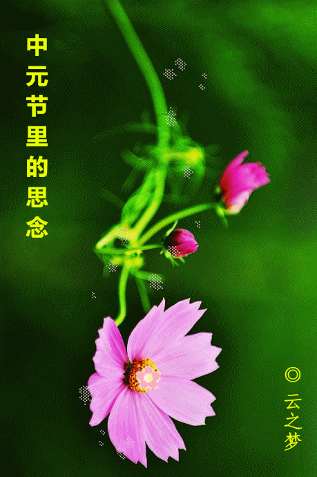 中元节念双亲 文‖幽兰(图5)