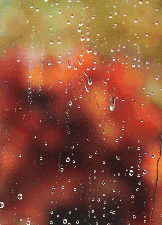 秋雨 文‖戴乐柱(图6)