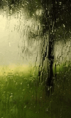 秋雨 文‖戴乐柱(图5)