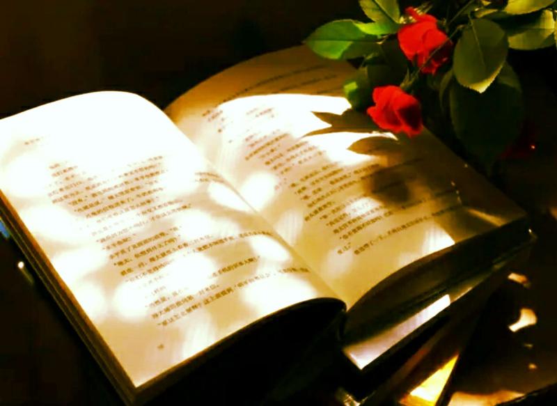 【上海诗社专辑一】供稿人:蓝成东〔加拿大〕制作 冰心〔中国〕【冰心文化传媒】(图20)