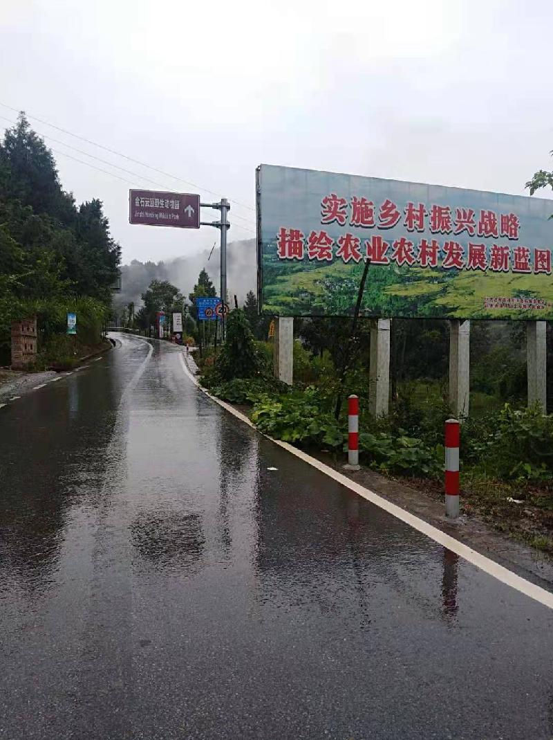 七绝 执事归乡随笔（外一首）张怀成（图3）