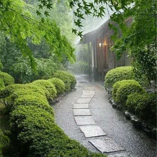 婷婷: 乡村的夜晚
