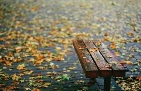 《随笔》一场秋雨一场凉：文／何俊锋（陕西西安）（图5）