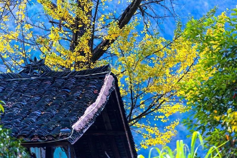 感觉老师诗四首金牌主播静远、虹、老革命、沐达情怀诵读, 编辑:宋梅【中国长江文学社】第2526(图7)