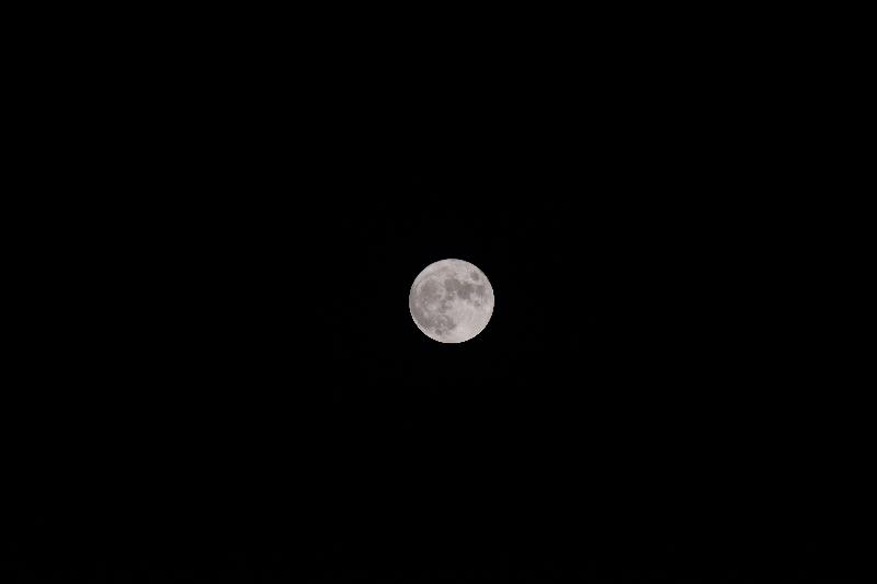 歌词.月夜.夜风无语月徘徊 窗外清光照小梅（图3）