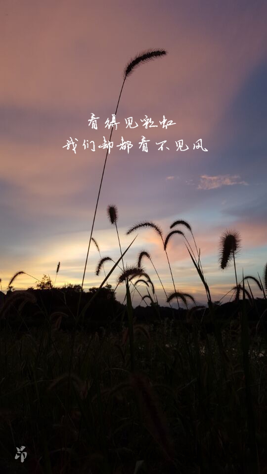 姚长灏老师佳作欣赏！（图4）