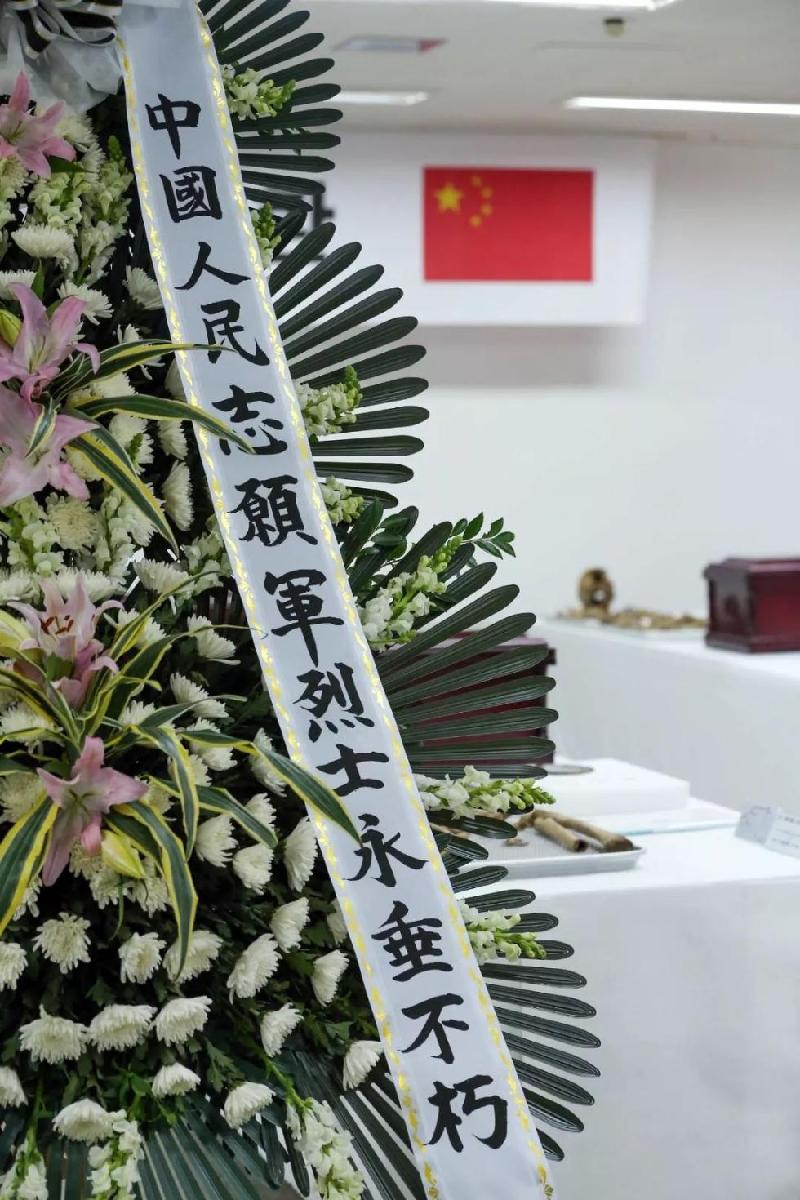 接英雄回家 作者‖蓝田玉（图25）