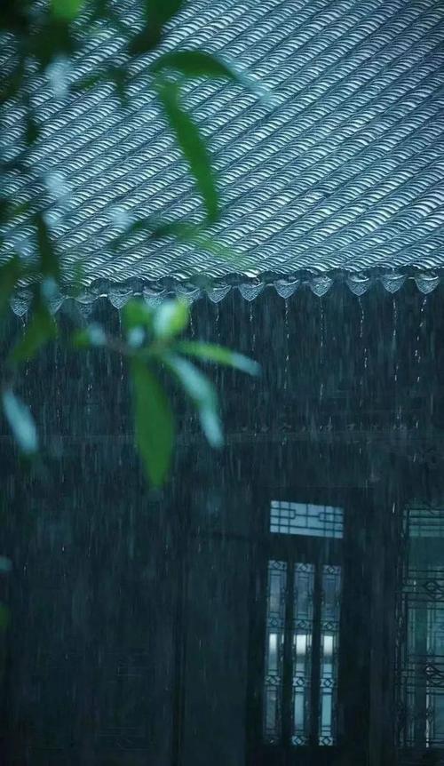 七律 雨夜思君 文/零凛（图3）