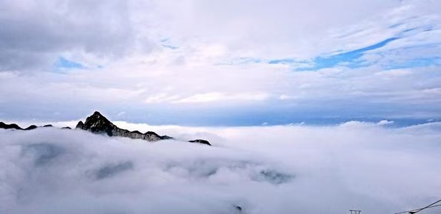 《欲说还休还是秋》王波(图10)