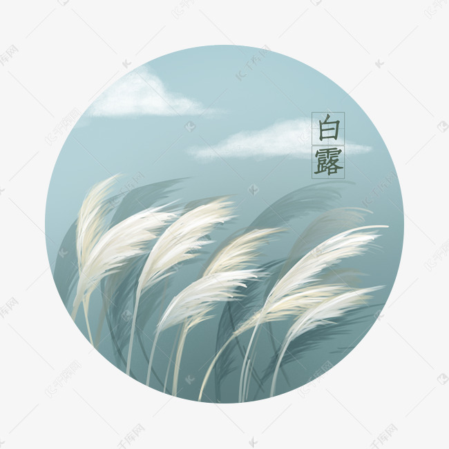 文 鲁妮/求错过/诵 老菩提(图2)