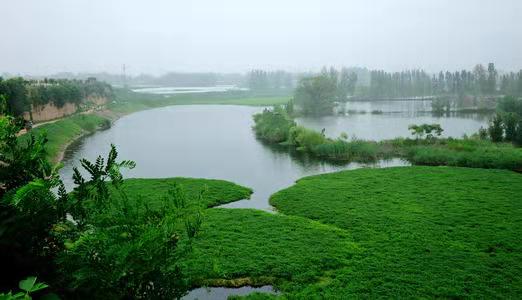 中华古韵社,名家近作|中国青海诗人李永梅格律选|海外头条(图3)