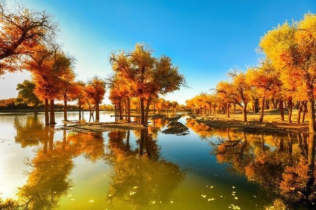 【经典推出】曹南强//咏教师｛五首｝（图4）