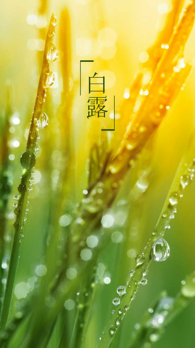 白露吟（外一首）
