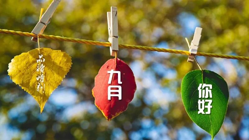 陈锦锋 （湖北黄梅） 诗歌专辑【冰心文化传媒】（图15）