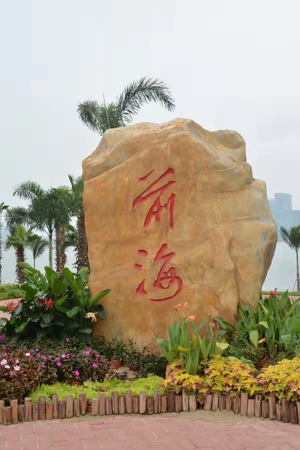 魅 力 前 海 再 逢 春：作者丁培恭｜海外头条（图2）