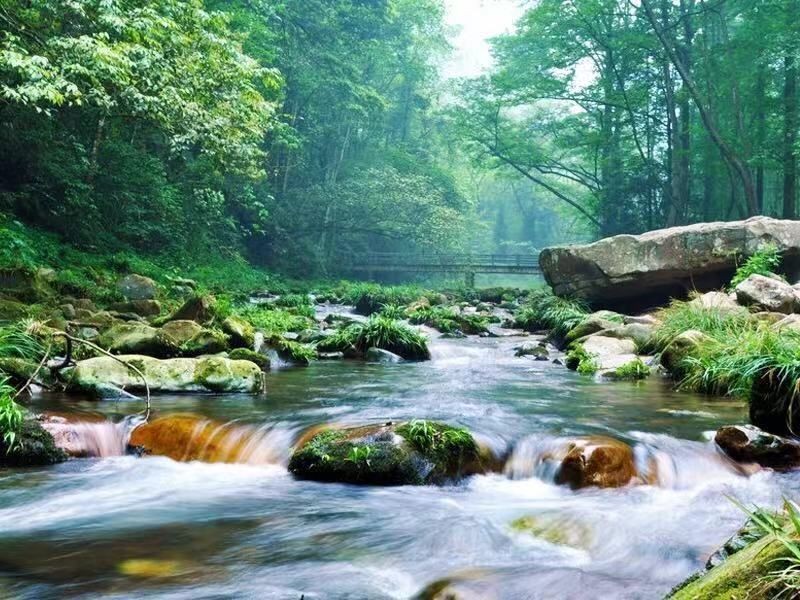 七绝：金鞭溪忆旧文/彭宇昭（图2）