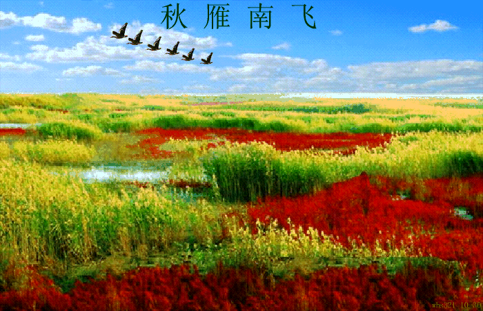 北美翰苑ll 31期<同题诗社>海外头条(图7)