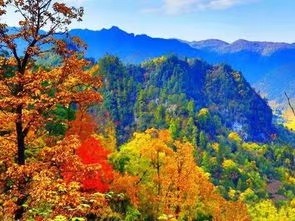 晓辉朗诵《翻阅秋天》作者/文雅儒夫 编辑/胡琴（图3）