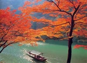 晓辉朗诵《翻阅秋天》作者/文雅儒夫 编辑/胡琴（图5）