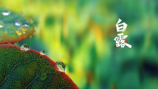 北美翰苑ll 32期＜古诗词社＞海外头条（图21）