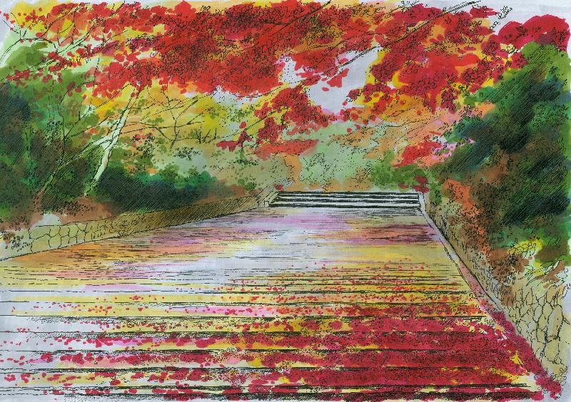 《山东诗人.王波》诗文选(图10)